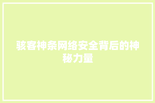 骇客神条网络安全背后的神秘力量