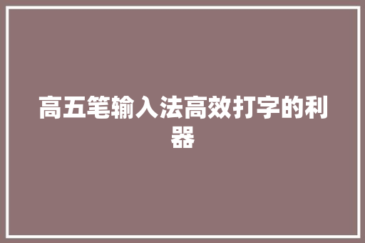 高五笔输入法高效打字的利器
