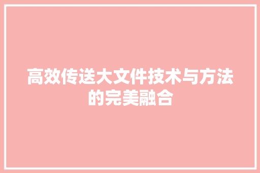 高效传送大文件技术与方法的完美融合
