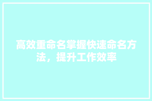 高效重命名掌握快速命名方法，提升工作效率