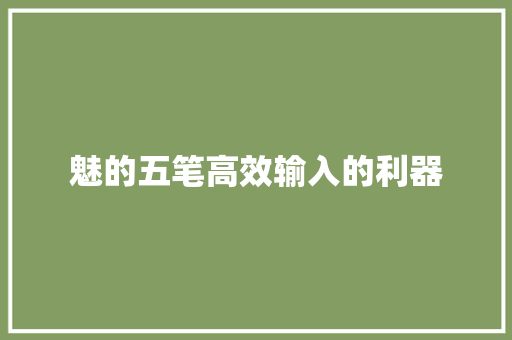 魅的五笔高效输入的利器