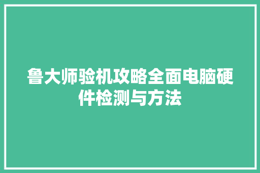 鲁大师验机攻略全面电脑硬件检测与方法