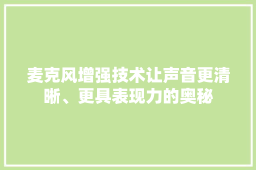 麦克风增强技术让声音更清晰、更具表现力的奥秘