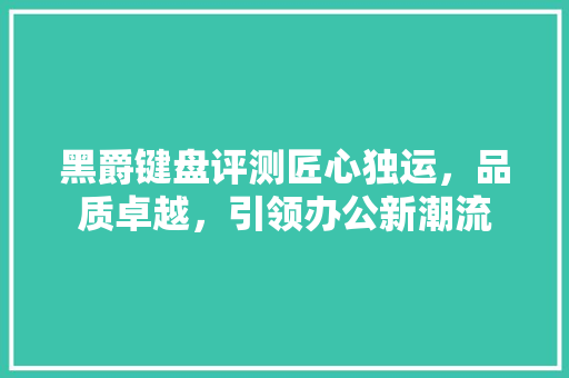 黑爵键盘评测匠心独运，品质卓越，引领办公新潮流