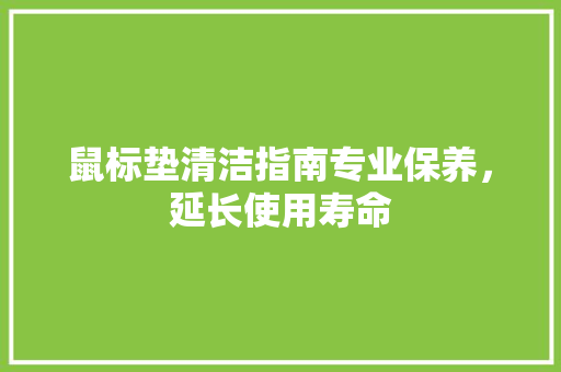 鼠标垫清洁指南专业保养，延长使用寿命