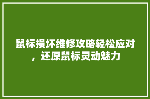 鼠标损坏维修攻略轻松应对，还原鼠标灵动魅力