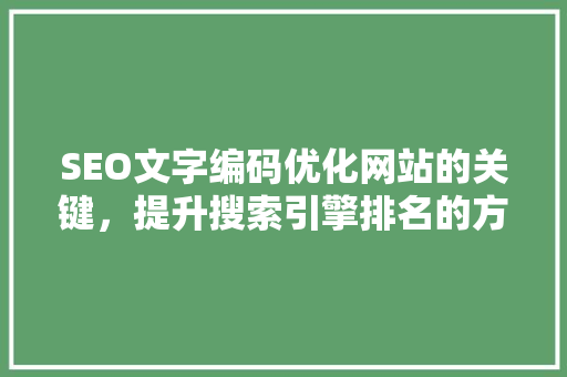 SEO文字编码优化网站的关键，提升搜索引擎排名的方法