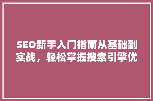 SEO新手入门指南从基础到实战，轻松掌握搜索引擎优化方法