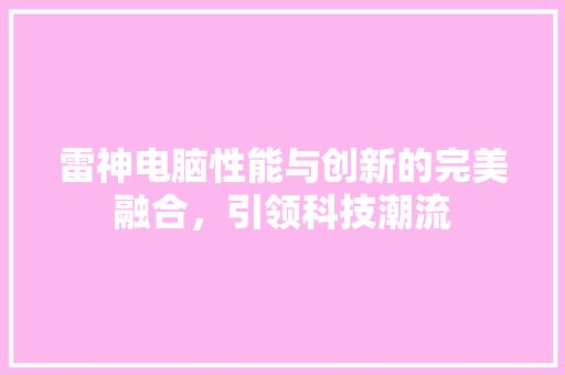 雷神电脑性能与创新的完美融合，引领科技潮流