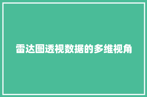 雷达图透视数据的多维视角