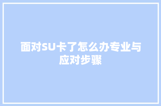 面对SU卡了怎么办专业与应对步骤
