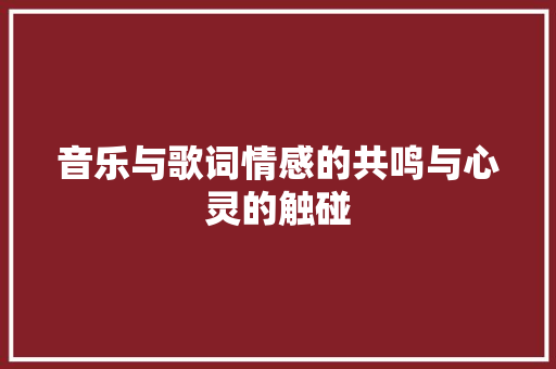 音乐与歌词情感的共鸣与心灵的触碰