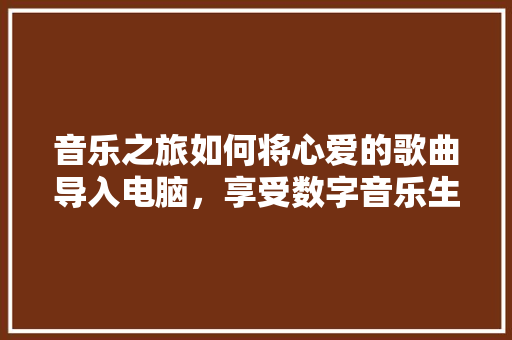 音乐之旅如何将心爱的歌曲导入电脑，享受数字音乐生活