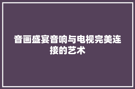音画盛宴音响与电视完美连接的艺术