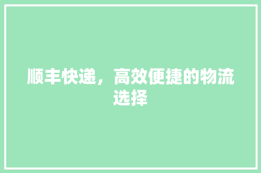 顺丰快递，高效便捷的物流选择