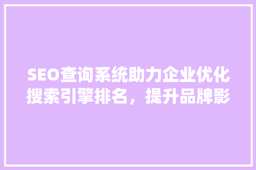 SEO查询系统助力企业优化搜索引擎排名，提升品牌影响力