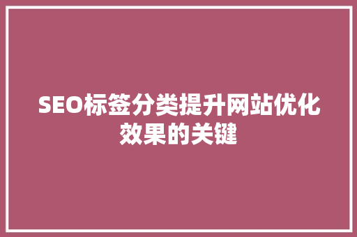 SEO标签分类提升网站优化效果的关键