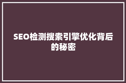 SEO检测搜索引擎优化背后的秘密