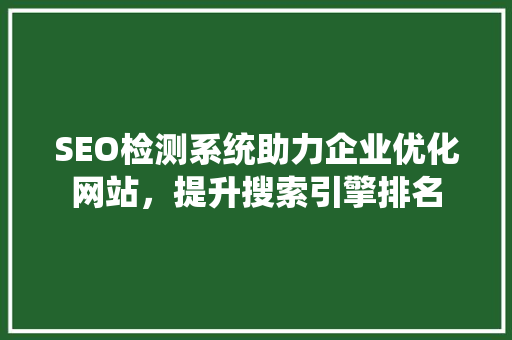 SEO检测系统助力企业优化网站，提升搜索引擎排名