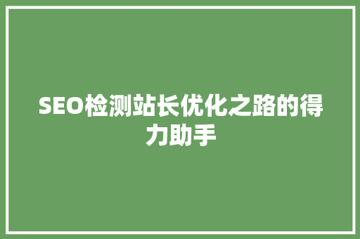 SEO检测站长优化之路的得力助手