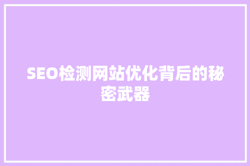 SEO检测网站优化背后的秘密武器