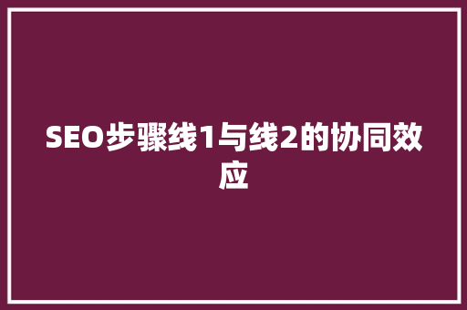 SEO步骤线1与线2的协同效应