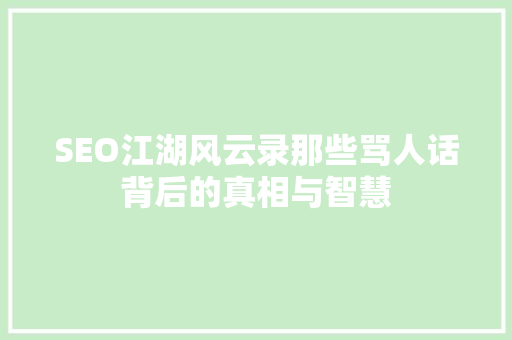 SEO江湖风云录那些骂人话背后的真相与智慧