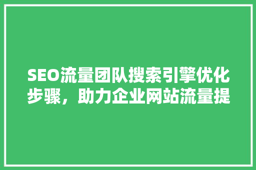 SEO流量团队搜索引擎优化步骤，助力企业网站流量提升