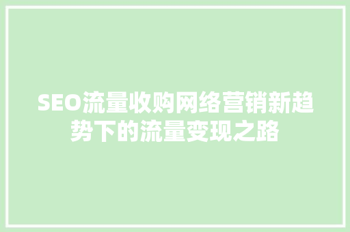 SEO流量收购网络营销新趋势下的流量变现之路