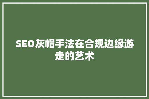 SEO灰帽手法在合规边缘游走的艺术
