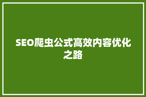 SEO爬虫公式高效内容优化之路