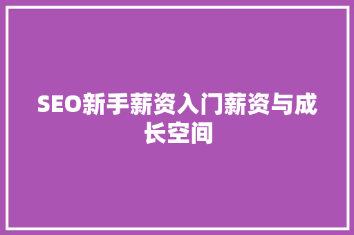 SEO新手薪资入门薪资与成长空间