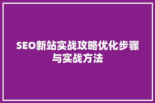 SEO新站实战攻略优化步骤与实战方法
