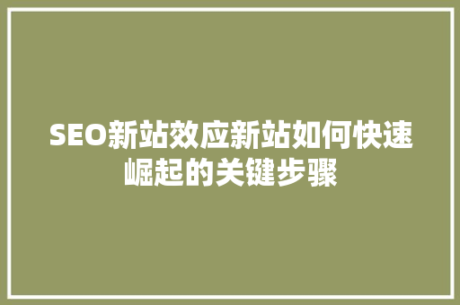 SEO新站效应新站如何快速崛起的关键步骤
