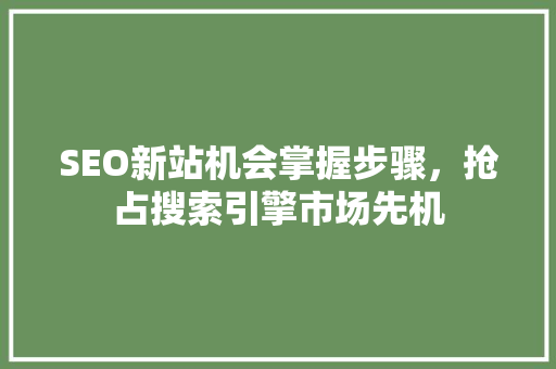 SEO新站机会掌握步骤，抢占搜索引擎市场先机