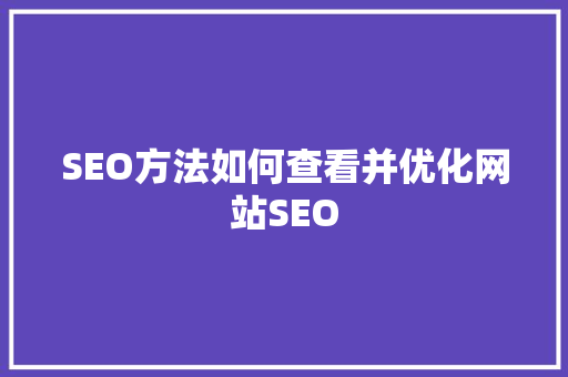SEO方法如何查看并优化网站SEO