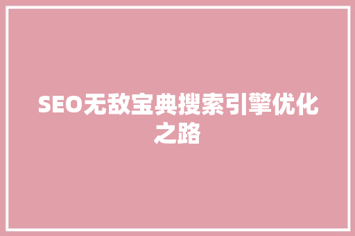 SEO无敌宝典搜索引擎优化之路