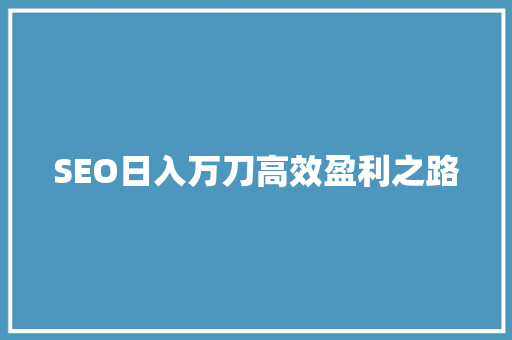 SEO日入万刀高效盈利之路