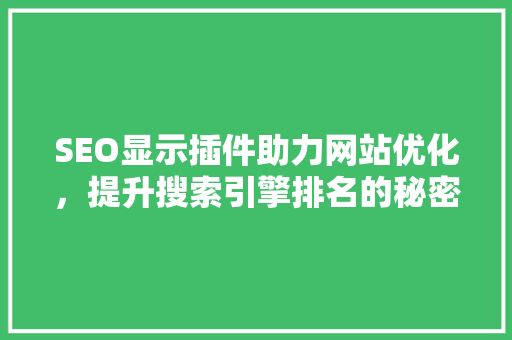 SEO显示插件助力网站优化，提升搜索引擎排名的秘密武器