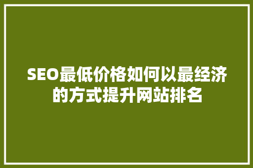 SEO最低价格如何以最经济的方式提升网站排名