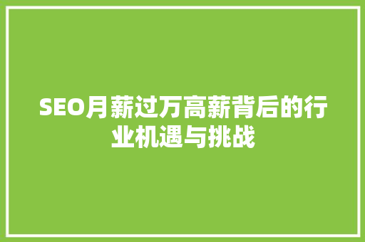 SEO月薪过万高薪背后的行业机遇与挑战