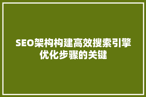 SEO架构构建高效搜索引擎优化步骤的关键