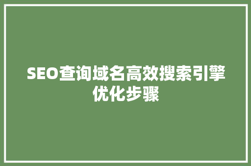 SEO查询域名高效搜索引擎优化步骤