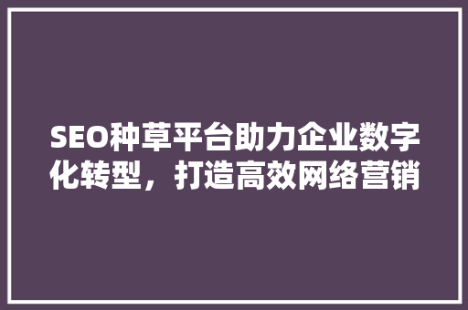 SEO种草平台助力企业数字化转型，打造高效网络营销新格局