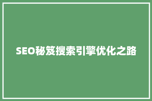 SEO秘笈搜索引擎优化之路