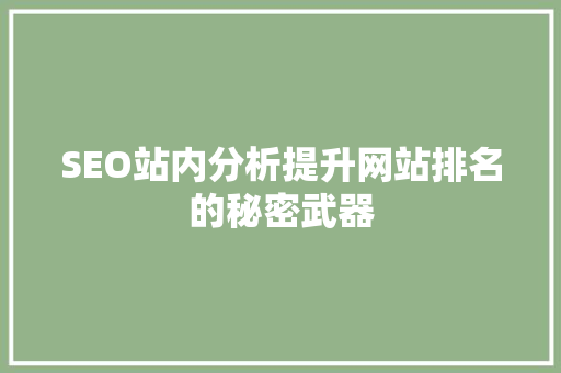SEO站内分析提升网站排名的秘密武器