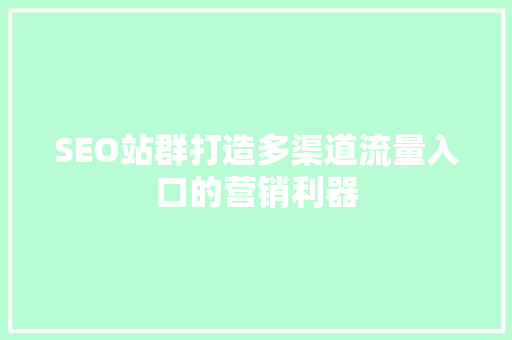 SEO站群打造多渠道流量入口的营销利器