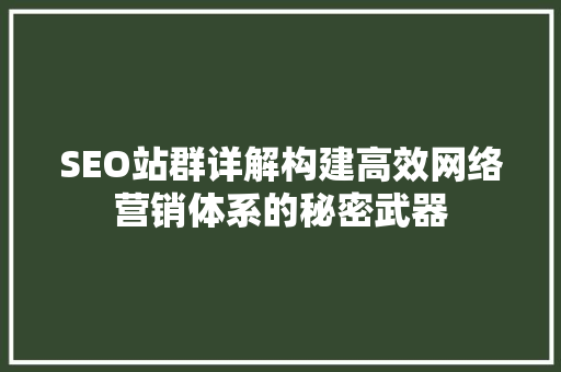 SEO站群详解构建高效网络营销体系的秘密武器