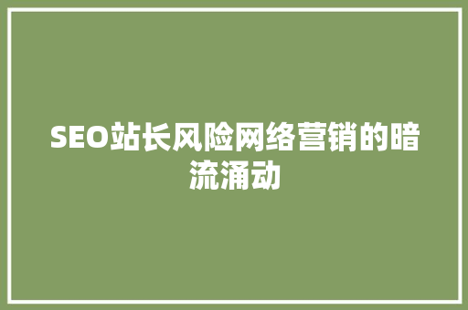 SEO站长风险网络营销的暗流涌动