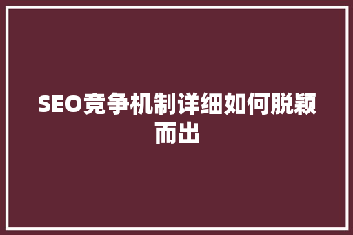 SEO竞争机制详细如何脱颖而出